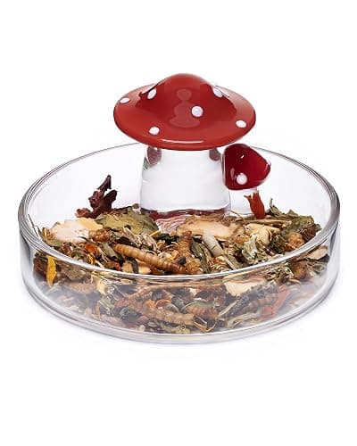 Niteangel Hamster Feeding & Food Bowls: Mushroom Glass & Chew-Resistant | Easy to clean & Stable Food Dish Feeding Bowls for Dwarf Syrian Hamsters Gerbils Mice Rats or Other Similar-Sized Small Pets thumbnail 7