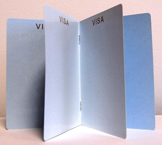 Beistle Set of 8 Around The World Passports, Global Adventure Travel Party Favors, Made In USA Since 1900 thumbnail 2