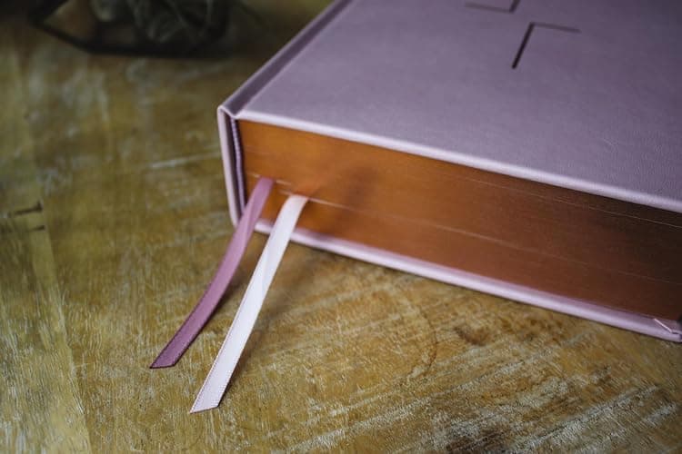 The Jesus Bible, ESV Edition, Leathersoft over Board, Pink thumbnail 3