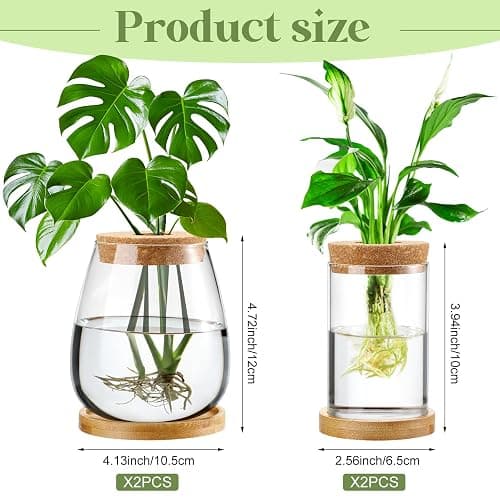 Layhit 4 Pcs Plants Propagation Stations vases Glass Planters with Wooden Lid and Bamboo Stand for Hydroponic Plants Gardening Gifts for Women Mom Home Office Tabletop Decoration(Classic Style) - Classic Style thumbnail 3