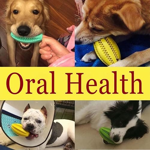 Novique 3 Pack Heavy Duty Dog Rope Toys for Breed Aggressive Chewers, Treat Balls and Dog Squeaky Toy for Puppies & Small Dogs thumbnail 3