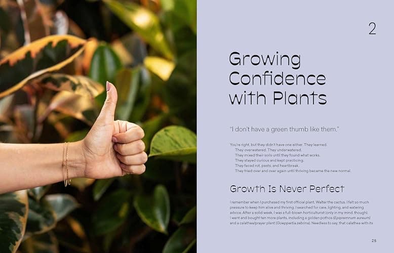 More Than Just a Plant: How to Care for Your Plants as They Care for You thumbnail 5