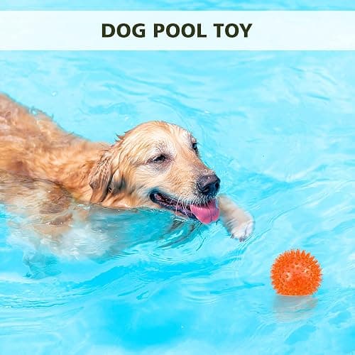 petizer 3-Pack 3.5” Squeaky Dog Toy Balls, Floating Dogs Pool Balls, Dog Spiky Balls, Interactive Fetch Toys for Puppy, Dog Chew Toys - Safe, BPA Free thumbnail 2