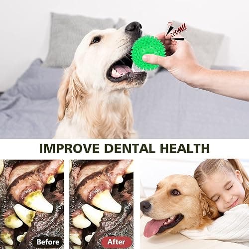 petizer 3-Pack 3.5” Squeaky Dog Toy Balls, Floating Dogs Pool Balls, Dog Spiky Balls, Interactive Fetch Toys for Puppy, Dog Chew Toys - Safe, BPA Free thumbnail 4