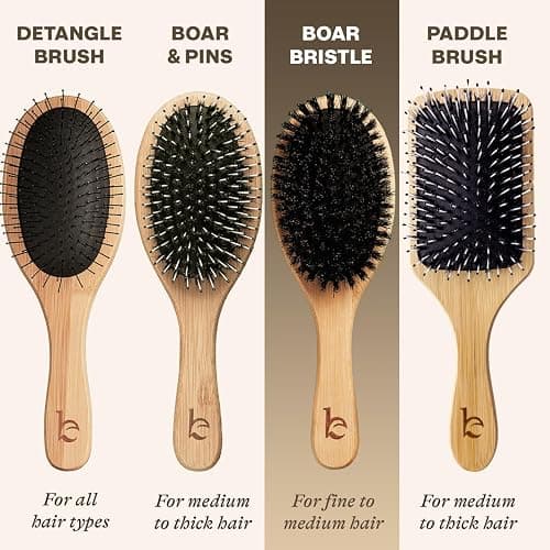 Boar Bristle Hair Brush for Women and Men, Natural 100% Soft Boars Hairbrush for Fine and Thin Hair thumbnail 8