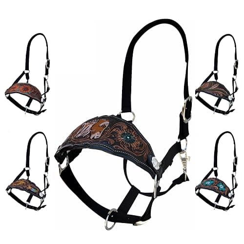Majestic Ally Equestrian Designer Bronc Halter for Horses, Hand-Tooled Leather Nose, Padded Nylon Crown and Noseband thumbnail 5