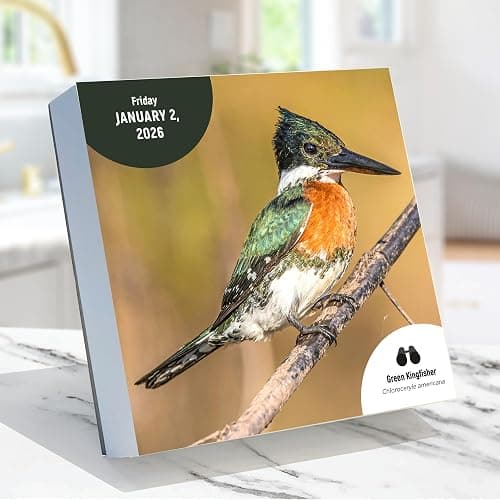 TF Publishing 2026 Birds: Backyard & Beyond Daily Desktop Calendar - Home and Office Organization - Small Desk Calendar 2026 w/Full-Color Tear-Off Pages and Standing Cardboard Easel - 5.25in x 5.25in thumbnail 2
