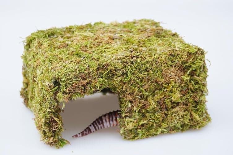 Jinymral Leopard Gecko Tank Accessories, Cute Reptile Hideout Cave, Essential Tank Terrarium Habitat Decor, Adjustable Toys Supplies thumbnail 3