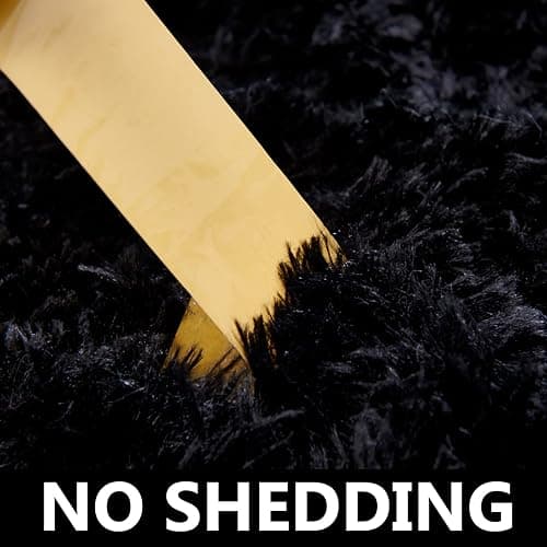 TABAYON Shaggy Black Rug, 2x3 Area Rugs for Living Room, Anti-Skid Extra Comfy Fluffy Floor Carpet for Indoor Home Decorative thumbnail 5