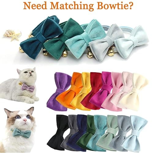 Personalized Cat Collar with Bells,Velvet Customized Small Cat Collar with Name Tag,Pet Collar with Name Phone Number Engraved ID Tags for Boy and Girl Kitten Cats (Cream) thumbnail 3