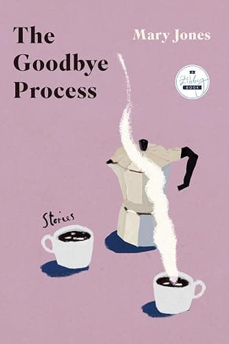 the goodbye process - paperback - Image 1