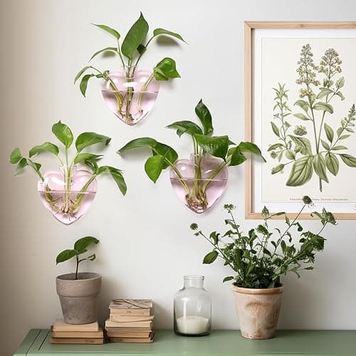 CYZglass Wall Hanging Planter Propagation Station for Indoor Plants Glass Vase Air Plant Holder Gift for Women Girlfriend Plant Lover thumbnail 2