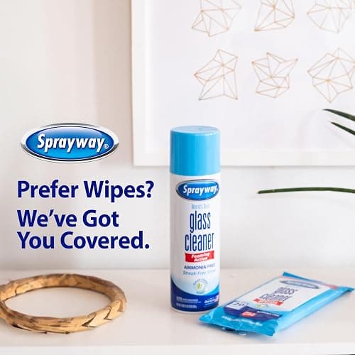 Sprayway Glass Cleaner Foaming Aerosol Spray, 19oz, Pack of 2 | Ammonia-Free, Streakless, Fast-Acting | Cleans & Polishes Glass Surfaces | Fresh Scent, Removes Fingerprints, Dust, Dirt, Smoke Film thumbnail 7
