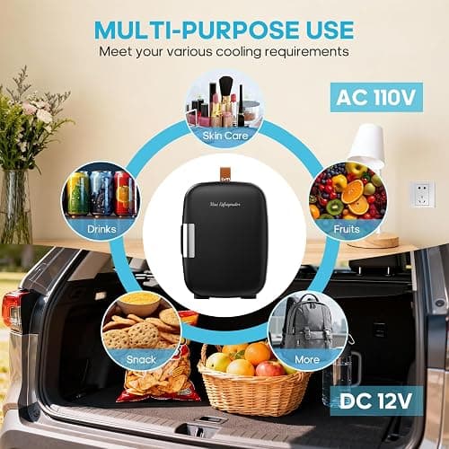 DUMOS Mini Fridge for Bedroom, 4L Compact Personal Fridge Cooler For Skincare, Drinks, And Snacks, Fits 6 Cans, Mini Refrigerator with 110V Ac/12V Dc, Ideal For Car, Dorm, Black thumbnail 5