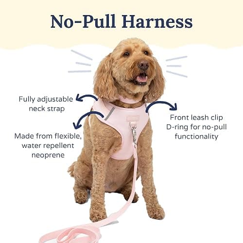 Lucy & Co. The Rosewater No-Pull Dog Harness - Size Large - Vest to Stop Pulling & Walk Easy - Comfortable Leash Training Product w/Adjustable Chest & Neck Straps thumbnail 2