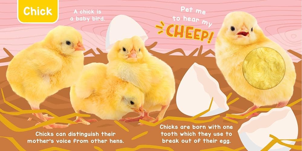 Little Hippo Books Baby Animals - A Noisy Touch and Feel Sensory Book Featuring Farm Sounds thumbnail 5