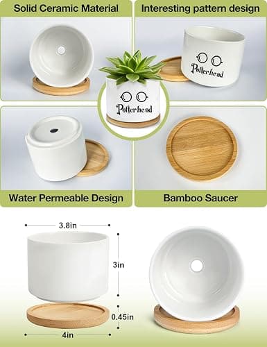 PWHINGN Funny Ceramic Succulent Planter Pots with Drainage Bamboo Tray, Office Windowsill Decor Indoor, Funny Plants Pots Desk Accessories for Plant Lovers Mom Friends Teacher (Not Plants) thumbnail 5