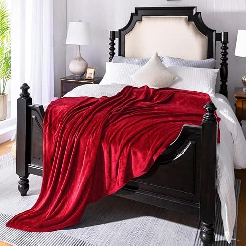 JIAHANNHA Red Throw Blanket Decorations Thin Fleece Blanket 50"x60",Super Soft Cozy Plush Throw Blanket for Couch Sofa Bed,Warm and Lightweight Bed Blankets for Adults thumbnail 4