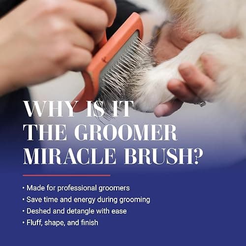 Chris Christensen Big G Dog Slicker Brush for Dogs (Goldendoodles, Labradoodles, Poodles), Groom Like a Professional, Fluff Detangle Style, Saves Time Energy, Coral, Large thumbnail 2