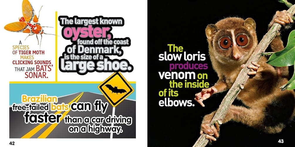 Weird But True! Animals: 300 Outrageous Facts About Wacky Wildlife thumbnail 5