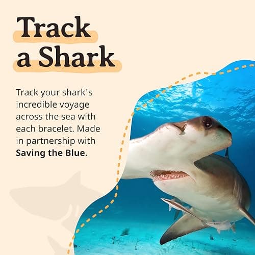 Fahlo Shark Tracking Bracelet, Elastic, supports Saving The Blue, one size fits most for Men and Women thumbnail 6