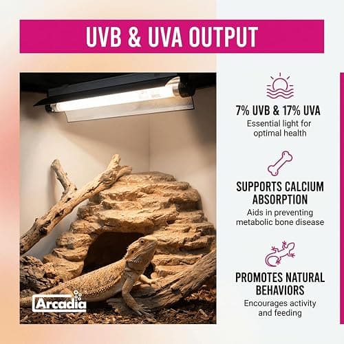 Arcadia T5 UVB Reptile Light Fixture Kit 12" Long 8 Watts 7% UVB ShadeDweller – Complete UVB Light for Reptiles, Turtles, Snake, Bearded Dragon Lamp, Long Lasting Easy to Use Professional Lighting thumbnail 5