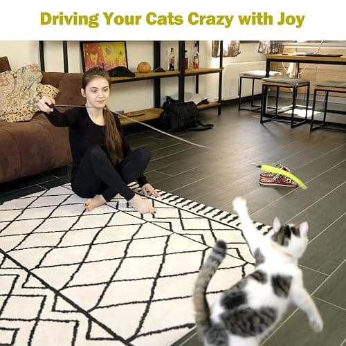 MeoHui Cat Toys for Indoor Cats, Interactive Cat Toy 2PCS Retractable Wand Toy and 9PCS Cat Feather Toys Refills, Funny Kitten Toys Cat Fishing Pole Toy for Bored Indoor Cats Chase and Exercise thumbnail 7