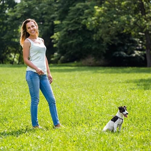 Chain Leash for Small Dogs, Heavy Duty Metal Dog Lead Durable Strong Chew Proof Puppy Leashes for Small Medium Large Breed Pet Dogs, 2.0mm * 4ft Black Handle thumbnail 2