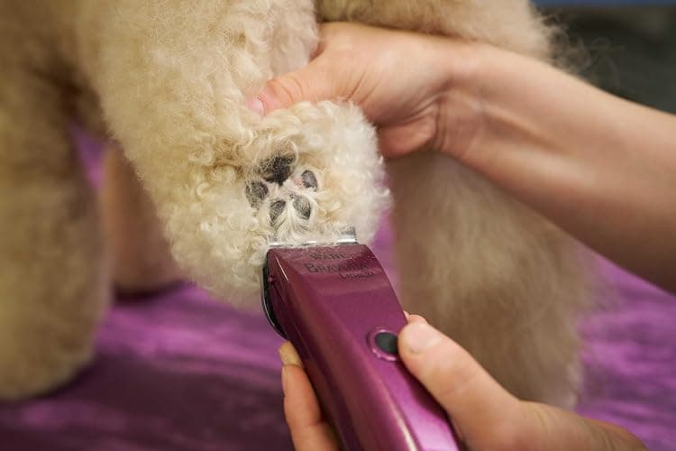 Wahl Professional Animal Bravura Pet, Dog, Cat, and Horse Corded/Cordless Clipper Kit, Purple (#41870-0423) thumbnail 7