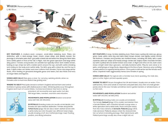 RSPB Pocket Guide to British Birds thumbnail 4