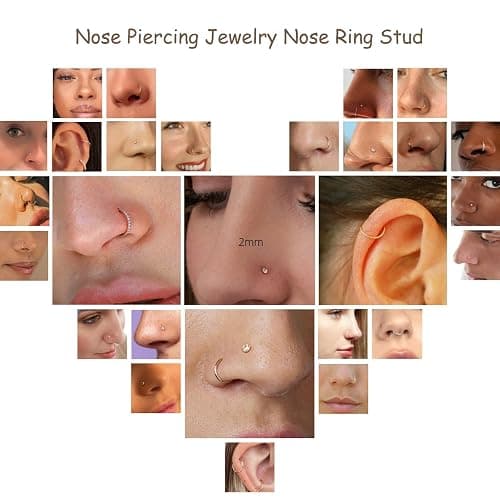 DAILI 8PCS Titanium Nose Rings Stud, Gold Nose Ring for Women Men Hypoallergenic Nostril Hoops L Shape Nose Studs Corkscrew CZ Nose Piercing Jewelry Silver 18G & 20G Nose Ring Studs 2/2.5/3mm thumbnail 7