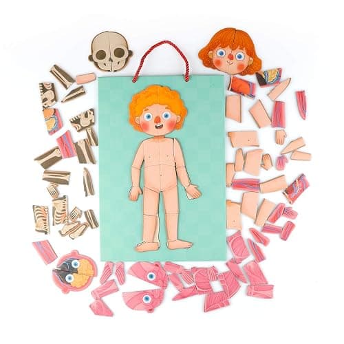 Human Body Puzzle for Kids Toddlers 90PCS Magnetic Boy Girl Anatomy Play Set Body Parts Organs Muscles Skeleton and Bones Wooden Puzzle Toys Aged 3+ Educational Learning Preschool Toys thumbnail 8