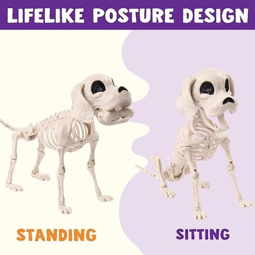 JOYIN Posable Halloween Dog Skeleton Full Body Posable Joints Realistic Skeleton Puppy with Movable Joints for Halloween Decoration, Graveyard Party Decor (9.8” X 4.7” X 12.6”) thumbnail 6