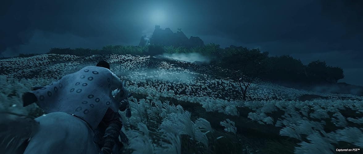 Ghost of Tsushima Director's Cut thumbnail 5