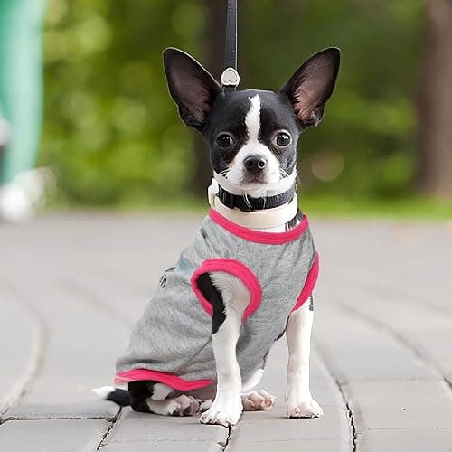 4 Pieces Chihuahua Clothes Dog Clothes for Small Dogs Girl Puppy Shirts for Yorkie Soft Cute Pattern Dog Shirt Pet Cat Clothing Pink (XX-Small) thumbnail 7