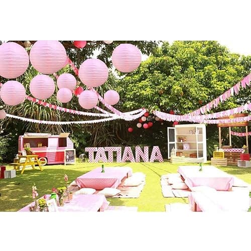 BEISHIDA 6-Inch Pink Round Paper Lanterns Hanging Decorative Chinese Paper Lanterns Lamp for Valentine Birthday Wedding Party Decoration and Baby Bridal Shower（6 Packs） thumbnail 2