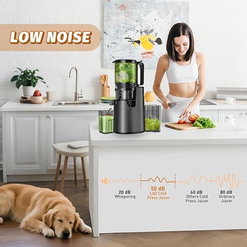 Cold Press Juicer, Juicer Machines with 5.4" Wide Feed Chute for Juice Extractor, Professional Slow Masticating Juicer for Whole Vegetables & Fruits with High Juice Yield, Easy to Clean (Black) thumbnail 6