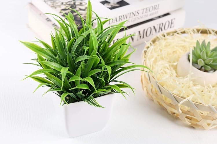 Der Rose 2 Pack Small Fake Plants Mini Artificial Potted Plants for Table Desk Home Bathroom Office Decor thumbnail 8