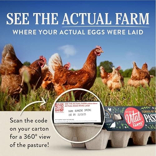 Vital Farms, Eggs Pasture Raised Large, 18 Count thumbnail 4