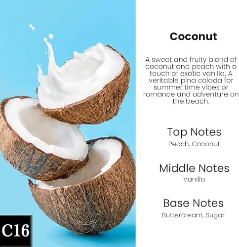 HoogaLife Car Air Freshener Diffuser 2 Pack Hanging Air Freshener Diffuser - Coconut Fragrance Oil Air D iffuser for Car, 45+ Days Long Lasting Fragrance Made in USA (C16) thumbnail 2