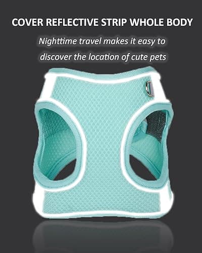Solmoony Dog Harness for Small Medium Dogs No Pull, Puppy Harness and Leash Set, Puppy Harness for Small Dogs, Step in Harness for Small Dogs, Small Dog Harness, mesh Dog Harness. (Pink, XS) thumbnail 4