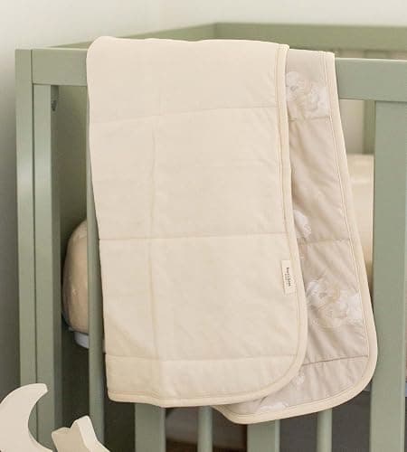 Burt's Bees Baby Reversible Blanket, Nursery, Stroller & Tummy-Time Organic Jersey Cotton Quilted Infant & Toddler Bedding thumbnail 3