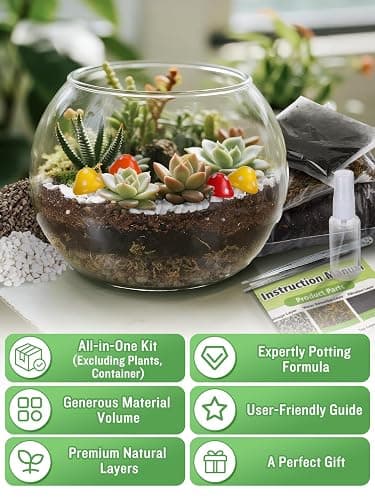 Terrarium Kit Adults - Includes Pumice, Moss, Soil, Pebbles, Charcoal, 2 Tools, Mushroom Ornaments for Succulent Cactus, Christmas Terrarium Accessories Decor Gifts for Starter Women thumbnail 4