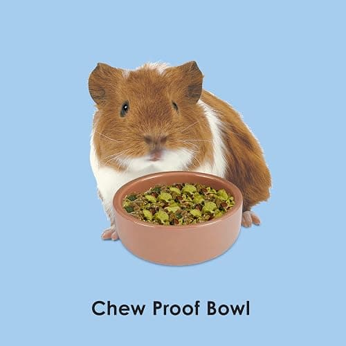 Kaytee Stoneware Ceramic Pet Hamster Bowl, Brown, 3-Inch thumbnail 3