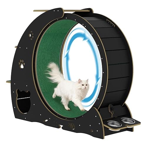 MilleLoom 4-in-1 Cat Running Wheel, Large Cat Treadmill,Large Quiet Exercise Wheel with Scratching Pad & Play Roller,Stable Wood Base for Indoor Cats thumbnail 9