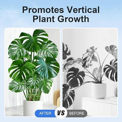 Tokyzexi 20PCS Plant Stem Supports for Monstera, 4 Sizes for Indoor Plants | Monstera Plant Supports for Thriving Growth, Stem Support for Climbing Indoor Plants, Reusable Green Plastic Accessories thumbnail 3