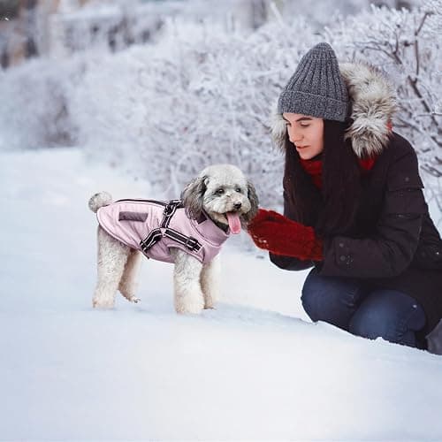 Oslueidy Vestes d'hiver pour Chiens, Manteaux Chauds pour Chiens Vêtements réfléchissants pour Chien Gilet imperméable pour Chiot avec Harnais pour Chiens de Petite et Moyenne Taille thumbnail 3