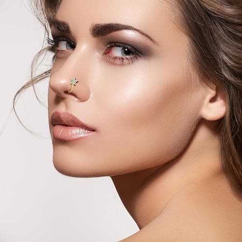 TAMHOO 25 Pcs Multi-Style Fake Nose Rings for Women and Men -Gold Plated Copper African Nose Cuff Non Piercing for Teen Grirls - Nice Gift for Her on Birthday/Valentines Day/Christmas thumbnail 8