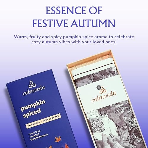 Halloween Pumpkin Spice Incense Sticks Fall - Fruity Spicy Aroma, 80-Pack | Charcoal Free Made from Upcycled Flowers, IFRA compliant aroma, Fall incense for Autumn, Autumn Gift thumbnail 3