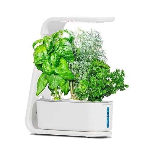 AeroGarden Gourmet Herb Seed pod Kit - Herb Seeds for AeroGarden Indoor Garden, 3-Pod thumbnail 5